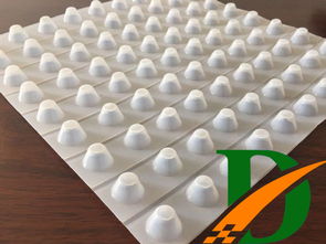 南通高分子防護排 蓄 水板廠家批發(fā) 山東達興新材料