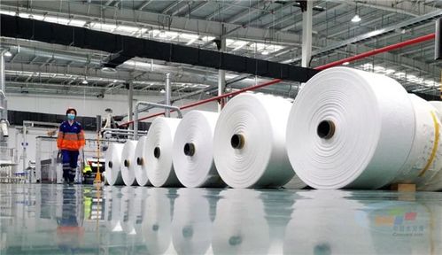 百年華新書寫新時代奮進樂章